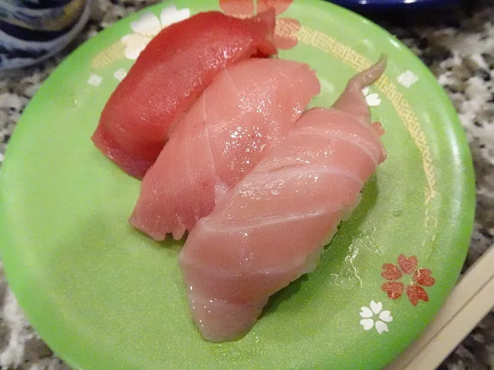 金枪鱼