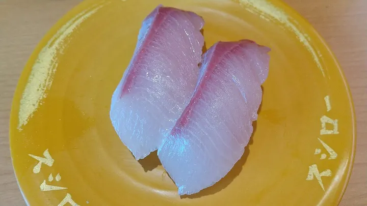 鰤鱼（五条鰤）成鱼